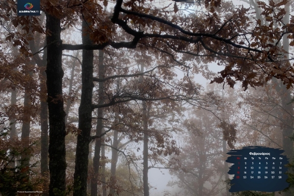 Εικόνα άρθρου